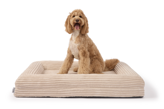 Orthopedic Dog Beds: The Complete Guide to Superior Comfort and Health for Your Dog