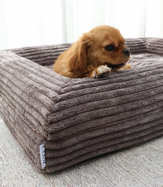 Mocha Corduroy Cover