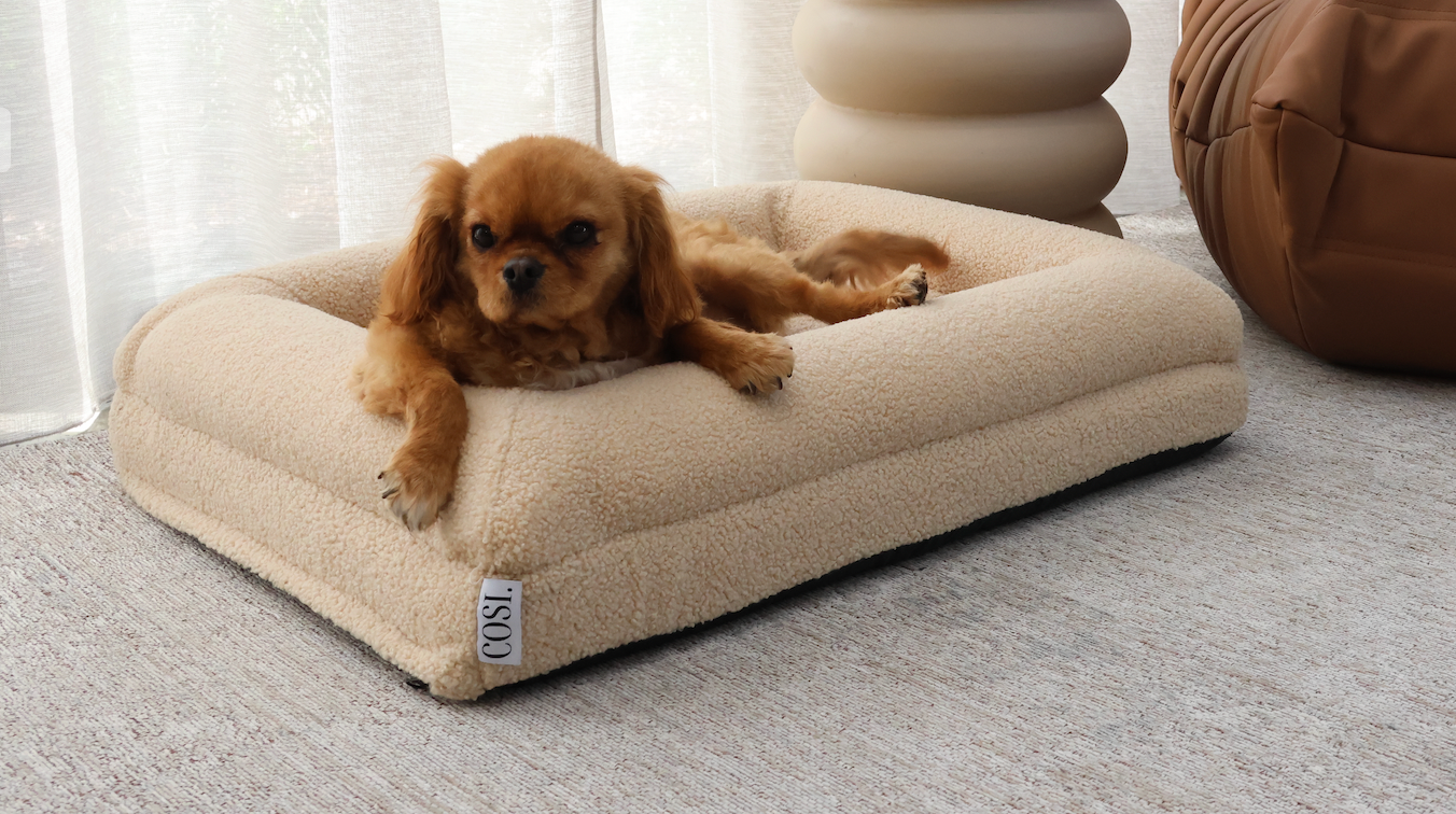 Teddy Cover