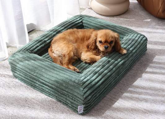 Emerald Corduroy Cover